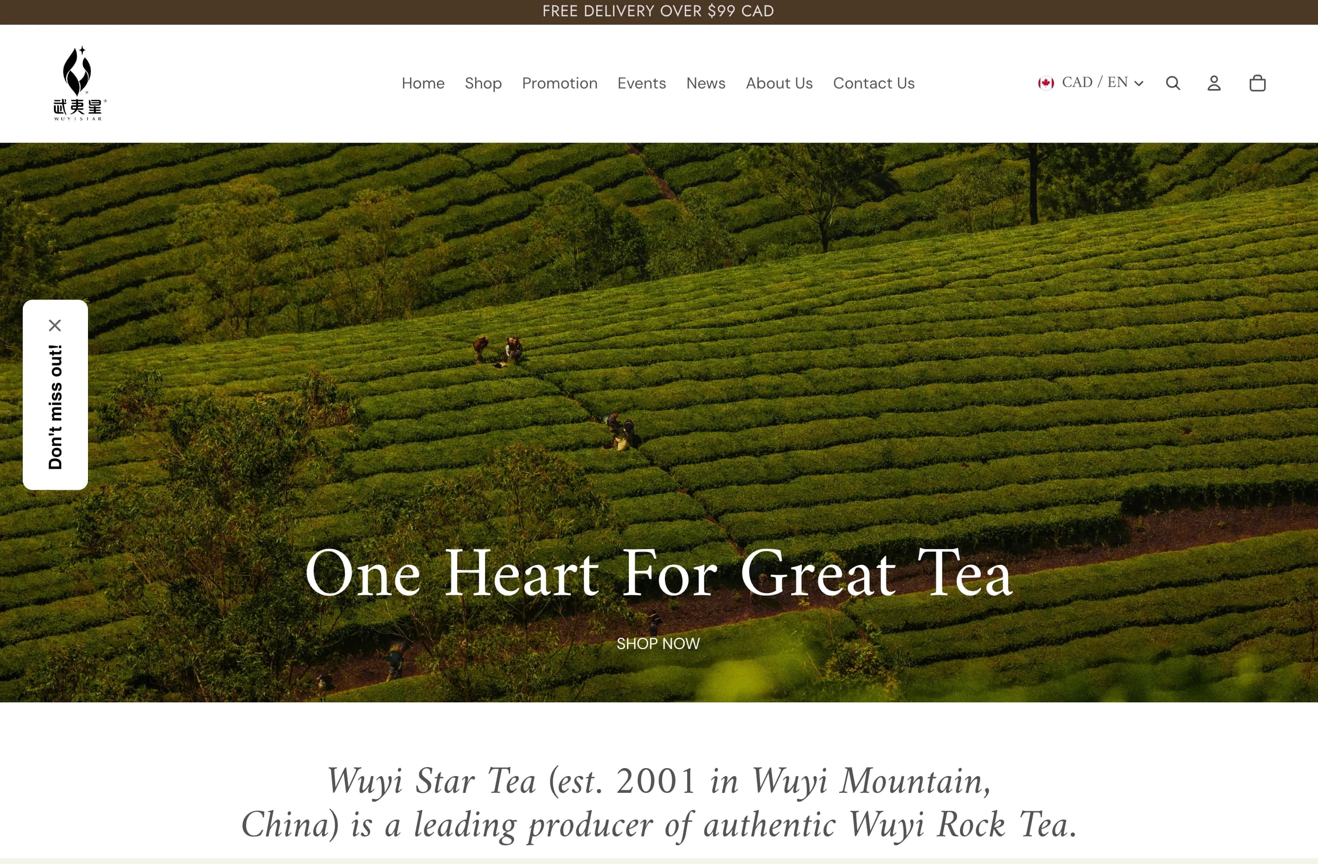 Wuyistar Tea website, designed by Workshown
